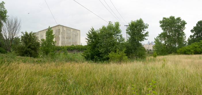 Urban Prairie with Peregrine Falcon, 14th Street, Detroit â€“ 2007